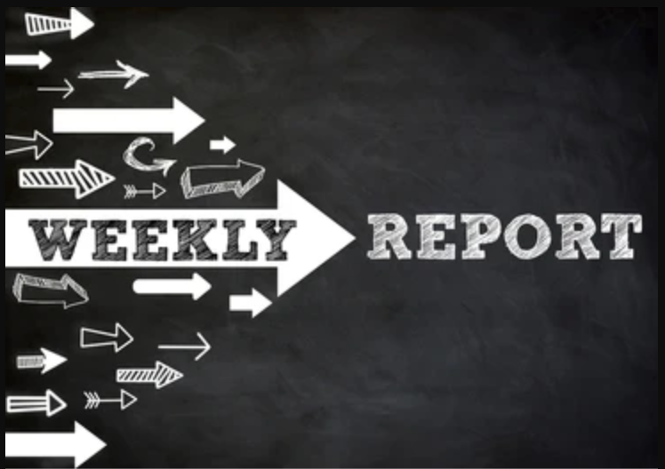 Plans, Progress, Problems